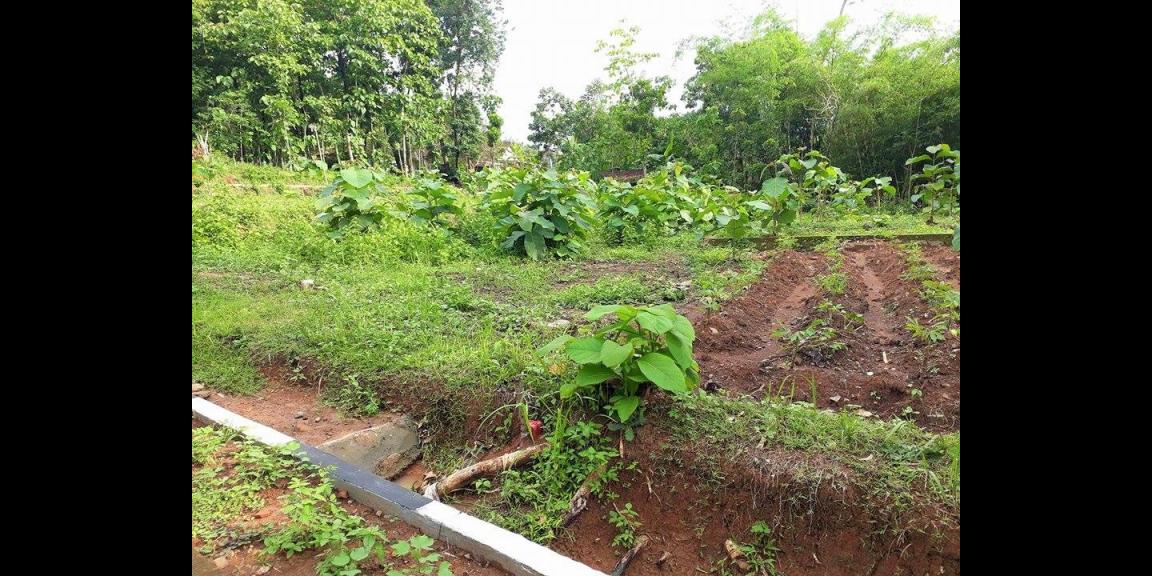 Tanah Super Datar 175jt Kerjo Karanganyar Tanah Super Datar 175jt Kerjo Karanganyar