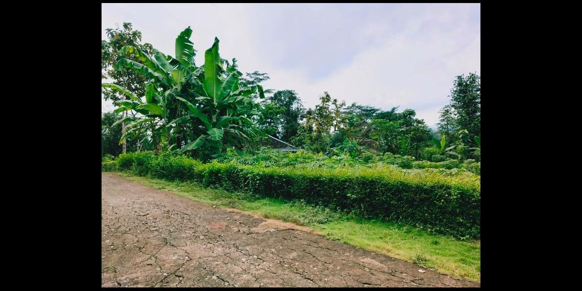 Tanah Cocok Untuk Hunian Mojogedang Karanganyar Tanah Cocok Untuk Hunian Mojogedang Karanganyar