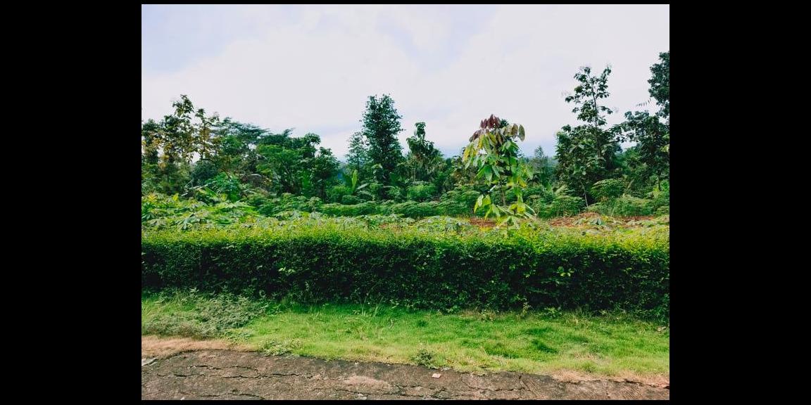 Tanah Cocok Untuk Hunian Mojogedang Karanganyar Tanah Cocok Untuk Hunian Mojogedang Karanganyar