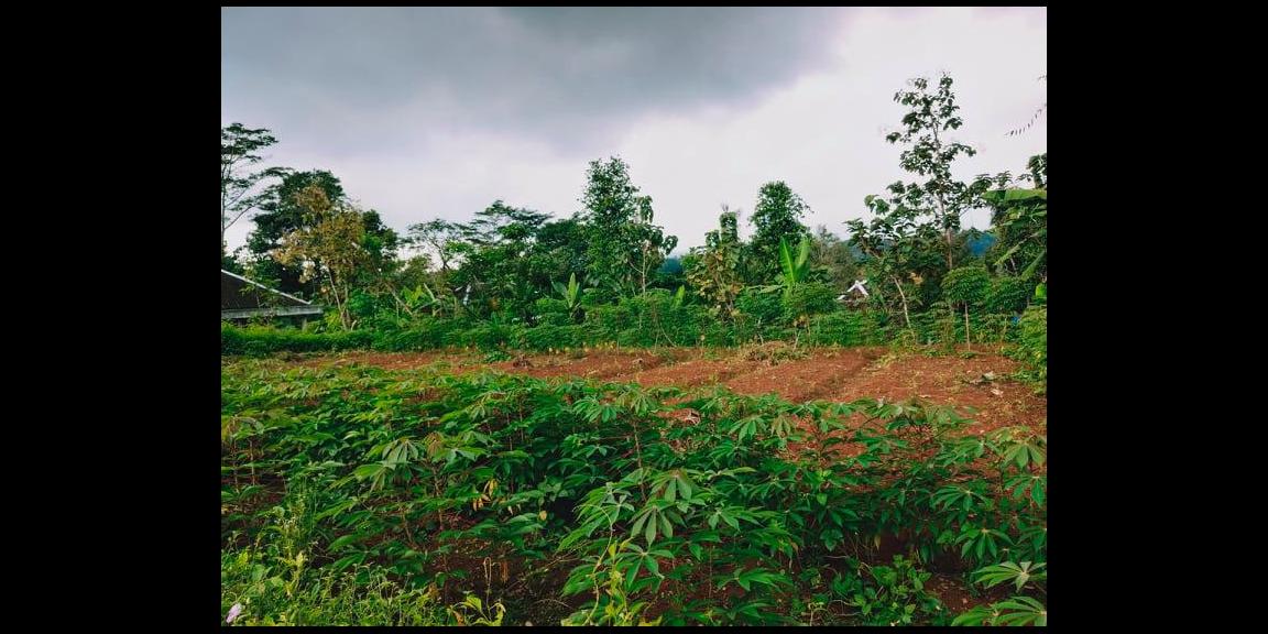 Tanah Cocok Untuk Hunian Mojogedang Karanganyar Tanah Cocok Untuk Hunian Mojogedang Karanganyar
