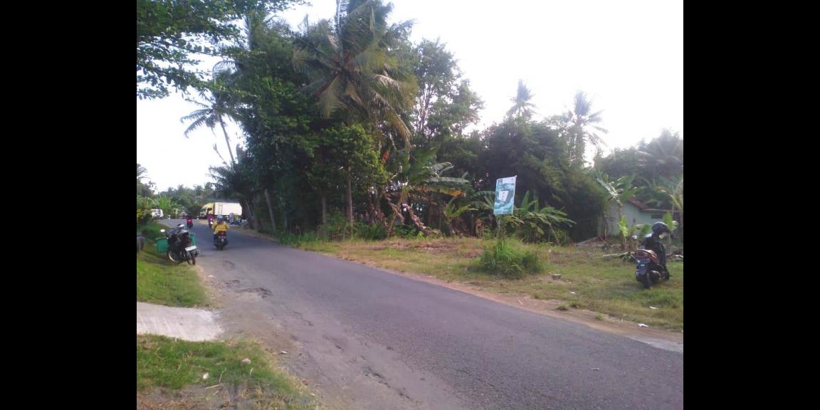 Jual Tanah Mangku Jalan di Wates dekat Pasar Bendungan Wates Kulon Progo Yogyakarta Jual Tanah Mangku Jalan di Wates dekat Pasar Bendungan Wates Kulon Progo Yogyakarta