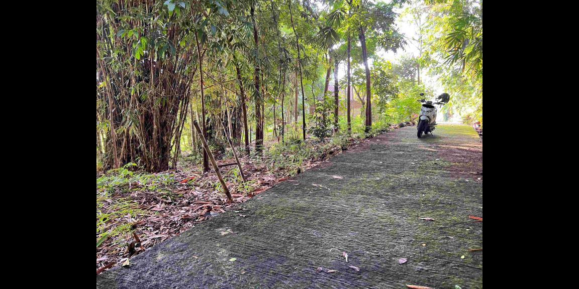 Dijual Tanah Hanya 175 Juta Mojogedang Karanganyar Dijual Tanah Hanya 175 Juta Mojogedang Karanganyar