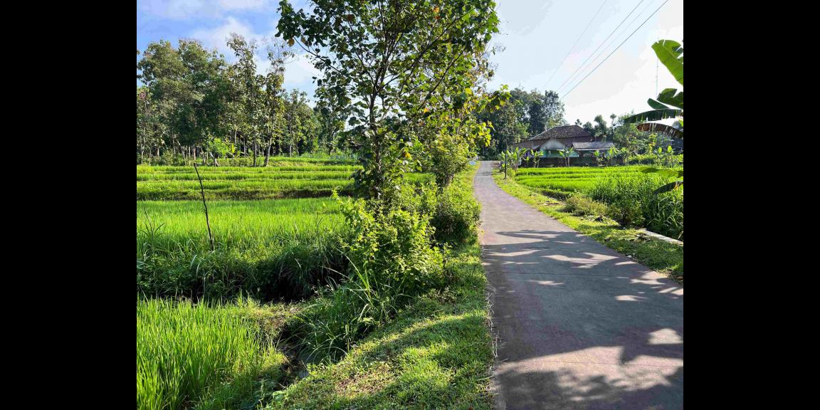 Dijual Tanah Hanya 175 Juta Mojogedang Karanganyar Dijual Tanah Hanya 175 Juta Mojogedang Karanganyar