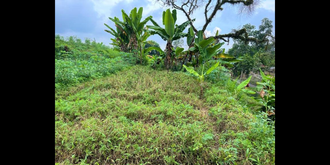 Dijual Tanah Jalan Utama Kemuning Karanganyar Dijual Tanah Jalan Utama Kemuning Karanganyar