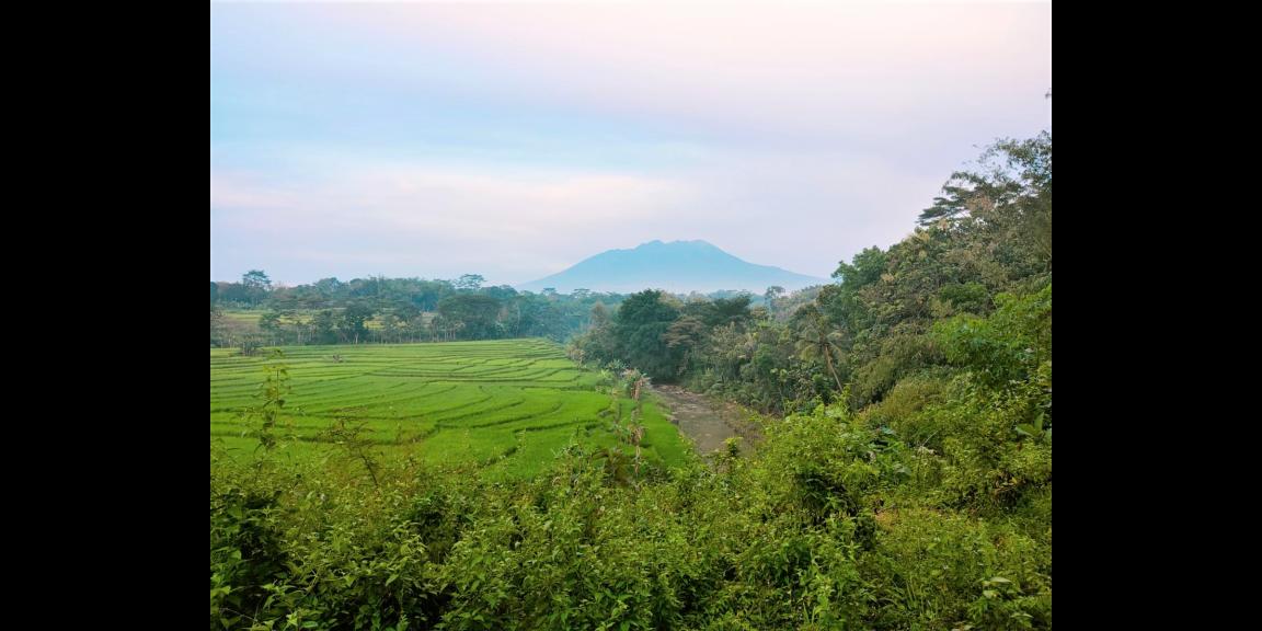 Tanah Datar Siap Bangun Mojogedang Karanganyar Tanah Datar Siap Bangun Mojogedang Karanganyar