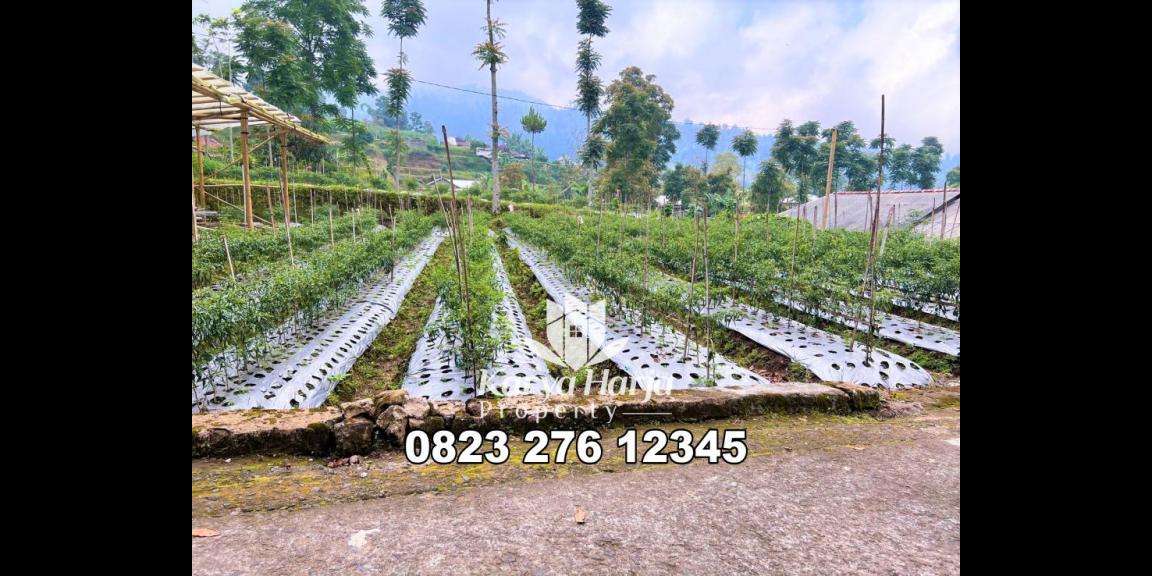 Dijual Tanah Datar 600m² Kemuning Karanganyar Dijual Tanah Datar 600m² Kemuning Karanganyar