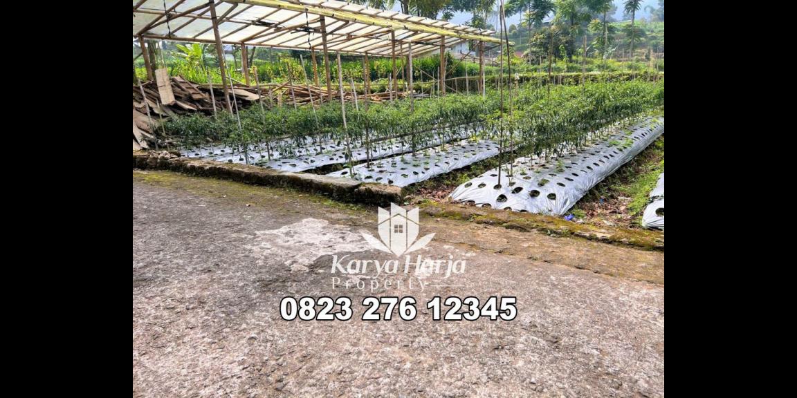 Dijual Tanah Datar 600m² Kemuning Karanganyar Dijual Tanah Datar 600m² Kemuning Karanganyar