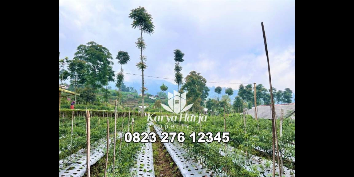 Dijual Tanah Datar 600m² Kemuning Karanganyar Dijual Tanah Datar 600m² Kemuning Karanganyar
