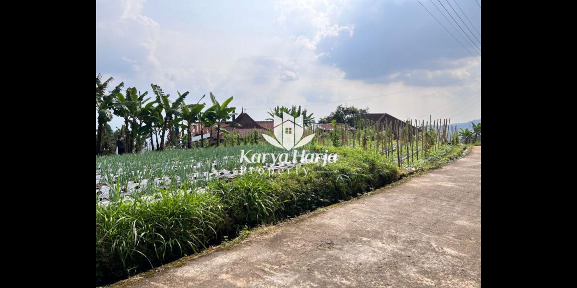 Tanah Datar Cocok Dibangun Villa Kemuning Karanganyar Tanah Datar Cocok Dibangun Villa Kemuning Karanganyar