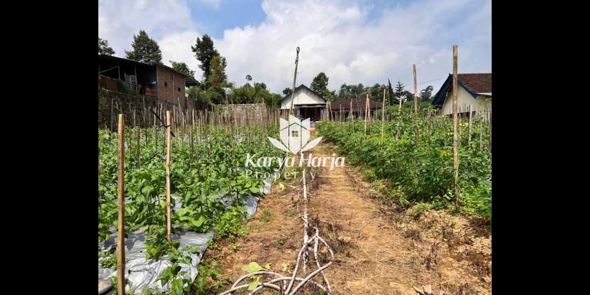 Dijual Tanah 1100m² Dekat Sungai Kemuning Dijual Tanah 1100m² Dekat Sungai Kemuning