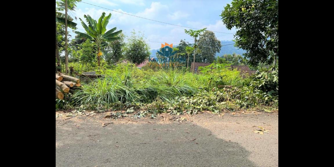 Tanah 200 juta Barat Pasar Kemuning Karanganyar Tanah 200 juta Barat Pasar Kemuning Karanganyar