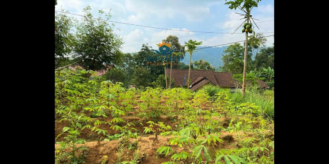 Tanah 200 juta Barat Pasar Kemuning Karanganyar Tanah 200 juta Barat Pasar Kemuning Karanganyar