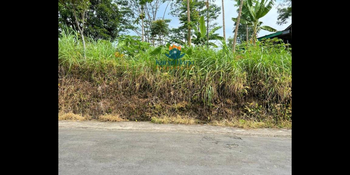 Tanah 200 juta Barat Pasar Kemuning Karanganyar Tanah 200 juta Barat Pasar Kemuning Karanganyar