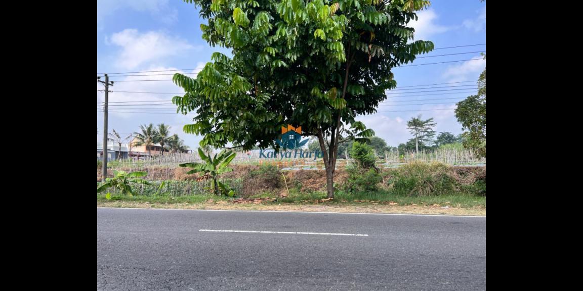 Tanah Cocok Buka Usaha Jl Solo Tawangmangu Tanah Cocok Buka Usaha Jl Solo Tawangmangu