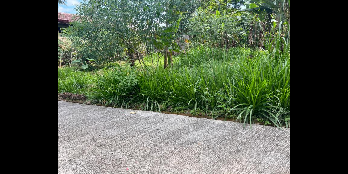 Tanah 800m² Dekat Sungai Kemuning Tanah 800m² Dekat Sungai Kemuning