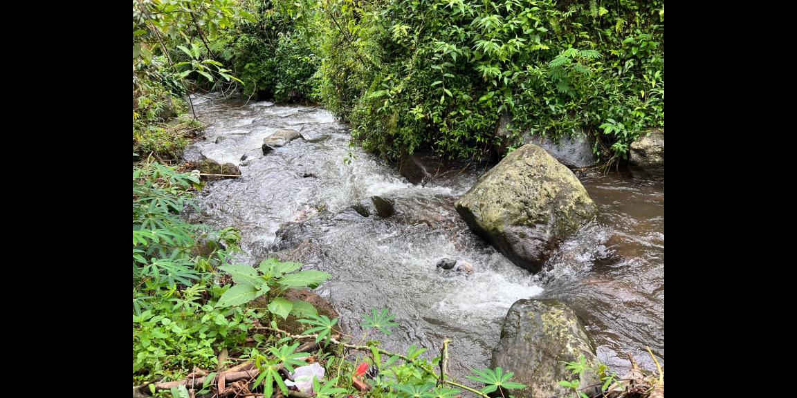 Tanah 800m² Dekat Sungai Kemuning Tanah 800m² Dekat Sungai Kemuning