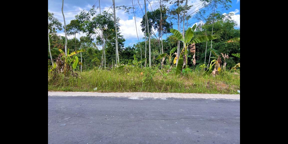 Tanah Datar 1 Hektar Karangpandan Karanganyar Tanah Datar 1 Hektar Karangpandan Karanganyar