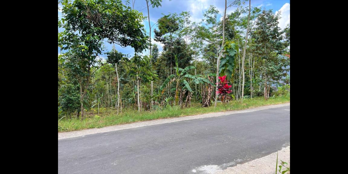 Tanah Datar 1 Hektar Karangpandan Karanganyar Tanah Datar 1 Hektar Karangpandan Karanganyar