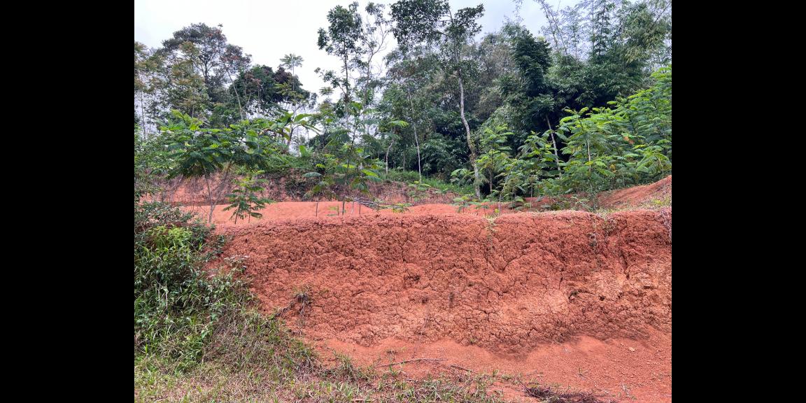 Dijual Tanah 2000m² Karangpandan Karanganyar Dijual Tanah 2000m² Karangpandan Karanganyar