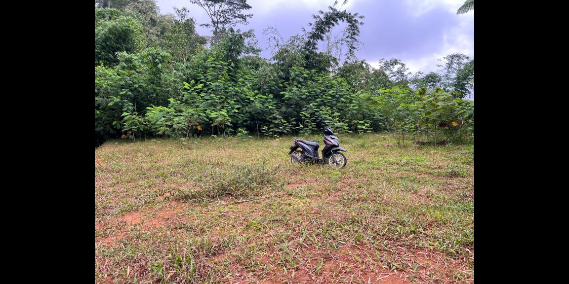 Dijual Tanah 2000m² Karangpandan Karanganyar Dijual Tanah 2000m² Karangpandan Karanganyar