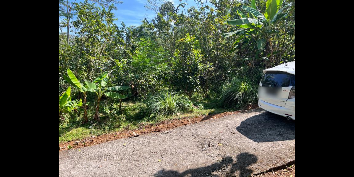 Tanah Kebun Jambu 1000m² 200Jt Ngargoyoso Karanganyar Tanah Kebun Jambu 1000m² 200Jt Ngargoyoso Karanganyar