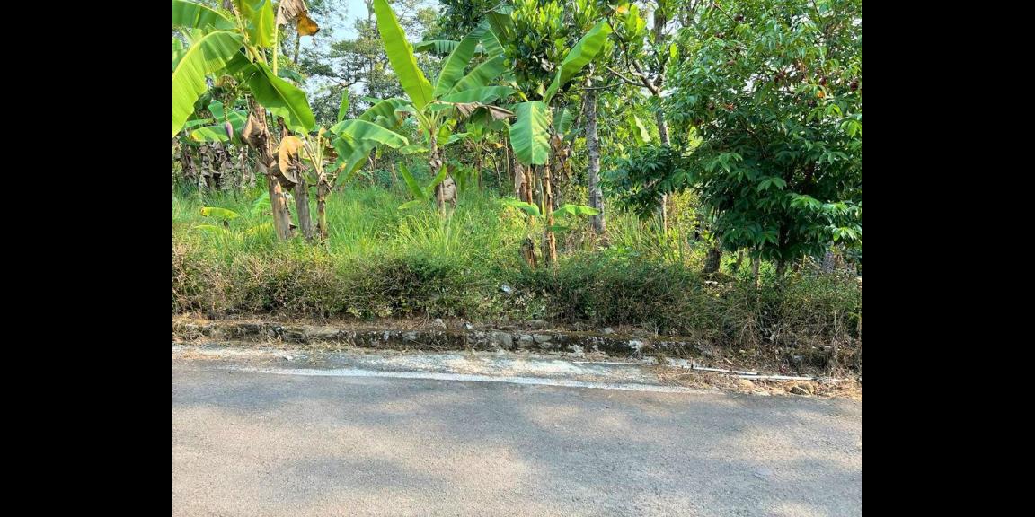 Dijual Kebun Durian 1700m² 170jt Mojogedang Karanganyar Dijual Kebun Durian 1700m² 170jt Mojogedang Karanganyar