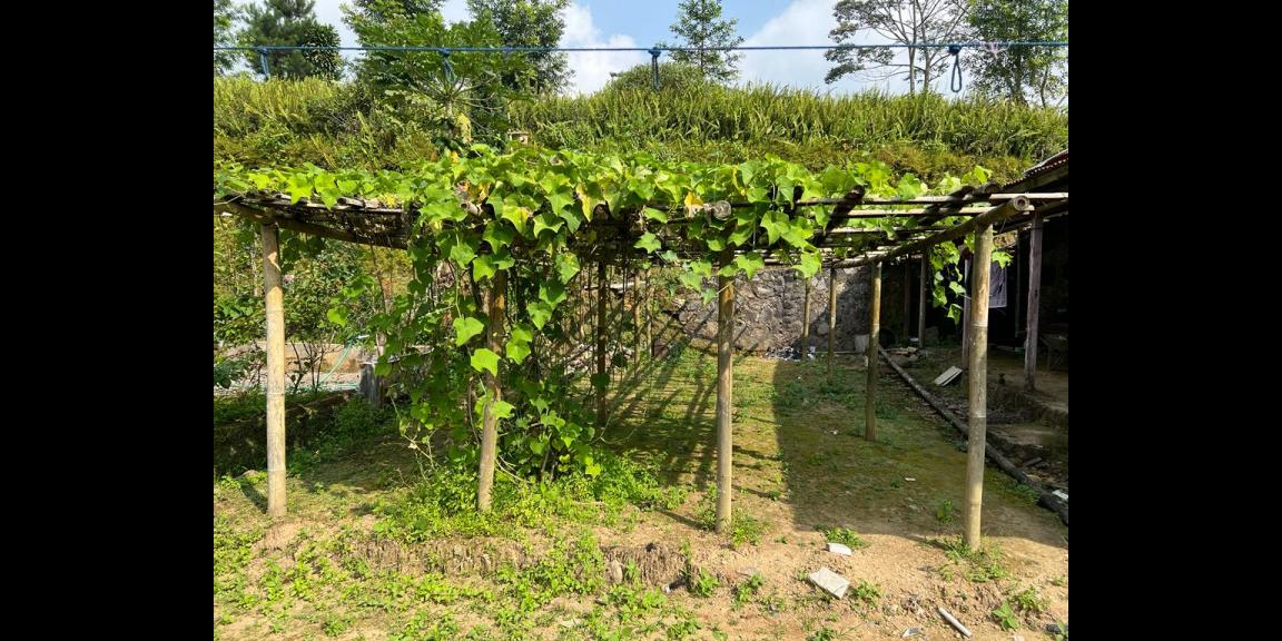 Dijual Tanah 180m² Timur Pasar Kemuning Karanganyar Dijual Tanah 180m² Timur Pasar Kemuning Karanganyar