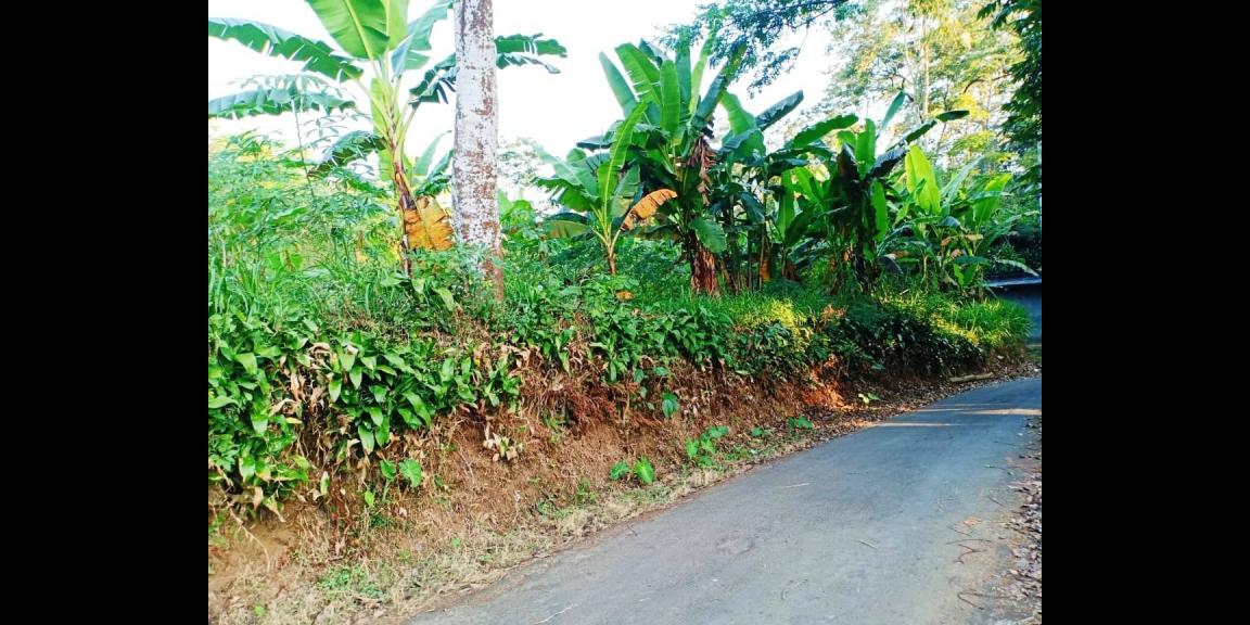 Tanah 3000m² Datar Kemuning Karanganyar Tanah 3000m² Datar Kemuning Karanganyar