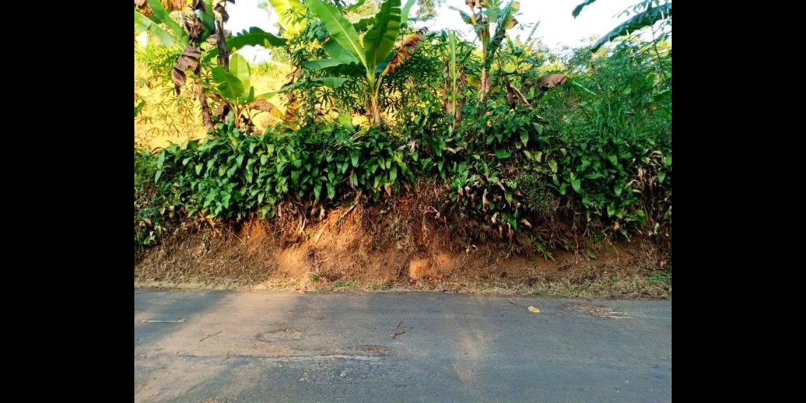 Tanah 3000m² Datar Kemuning Karanganyar Tanah 3000m² Datar Kemuning Karanganyar