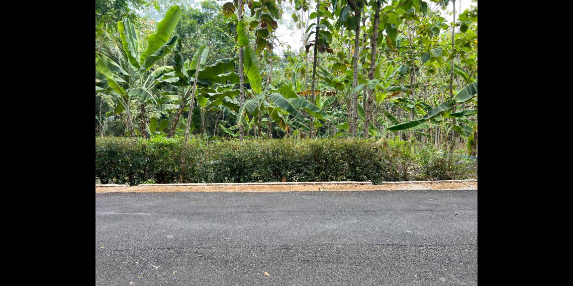 Dijual Pekarangan 418m2 Kerjo Karanganyar Dijual Pekarangan 418m2 Kerjo Karanganyar