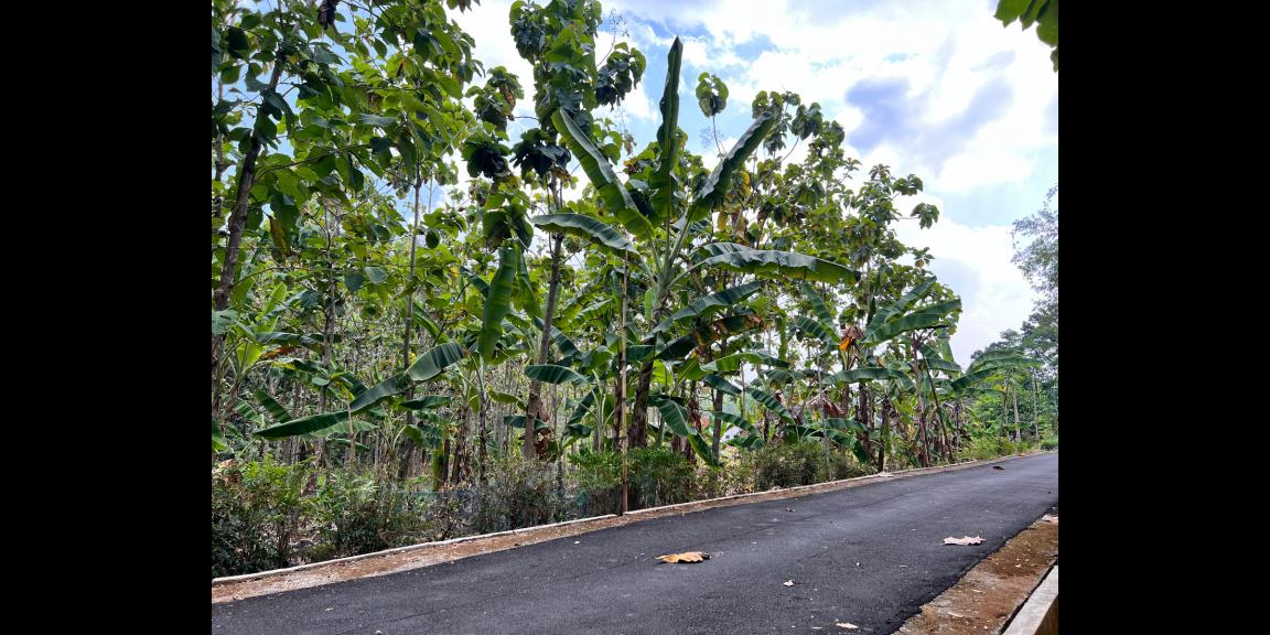 Dijual Pekarangan 418m2 Kerjo Karanganyar Dijual Pekarangan 418m2 Kerjo Karanganyar