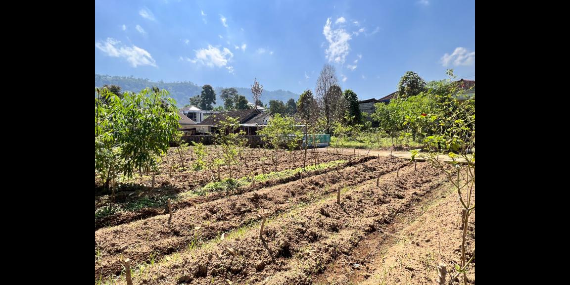 Rumah Siap Huni Kota Wisata Kemuning Karanganyar Rumah Siap Huni Kota Wisata Kemuning Karanganyar