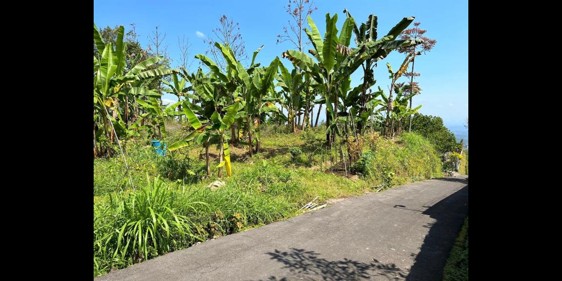 Dijual Tanah Hook 1800m² Kemuning Ngargoyoso Dijual Tanah Hook 1800m² Kemuning Ngargoyoso