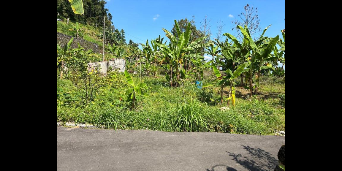 Dijual Tanah Hook 1800m² Kemuning Ngargoyoso Dijual Tanah Hook 1800m² Kemuning Ngargoyoso