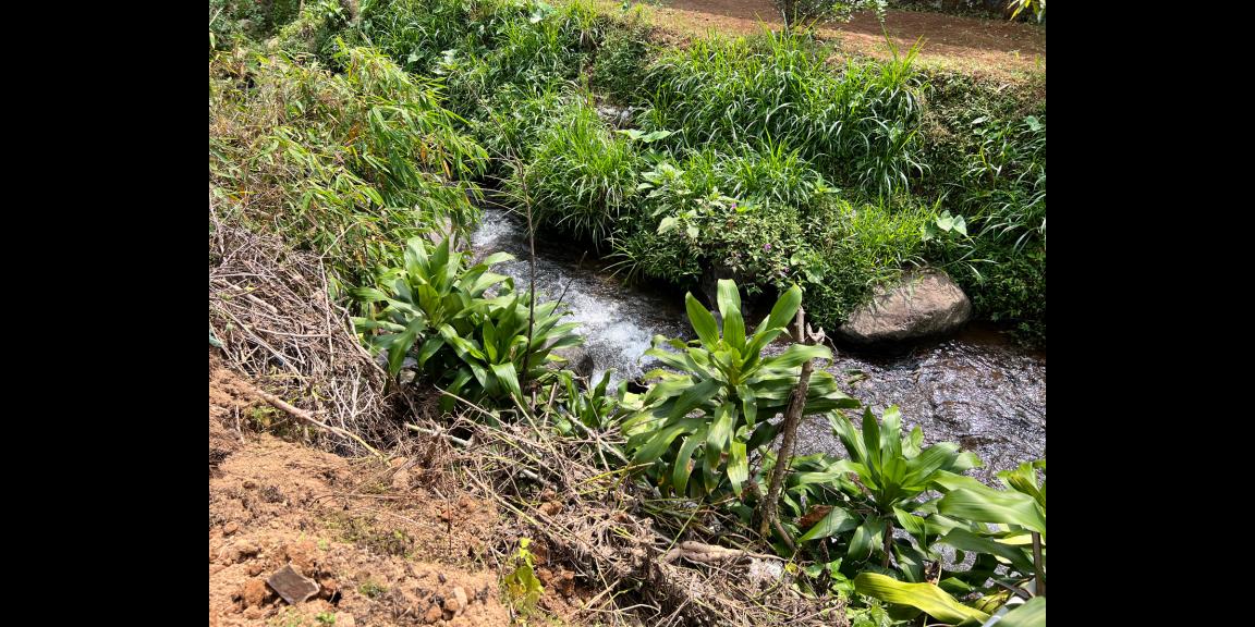 PROMO!! Tanah 300 jd 250Jt Kemuning Karanganyar PROMO!! Tanah 300 jd 250Jt Kemuning Karanganyar