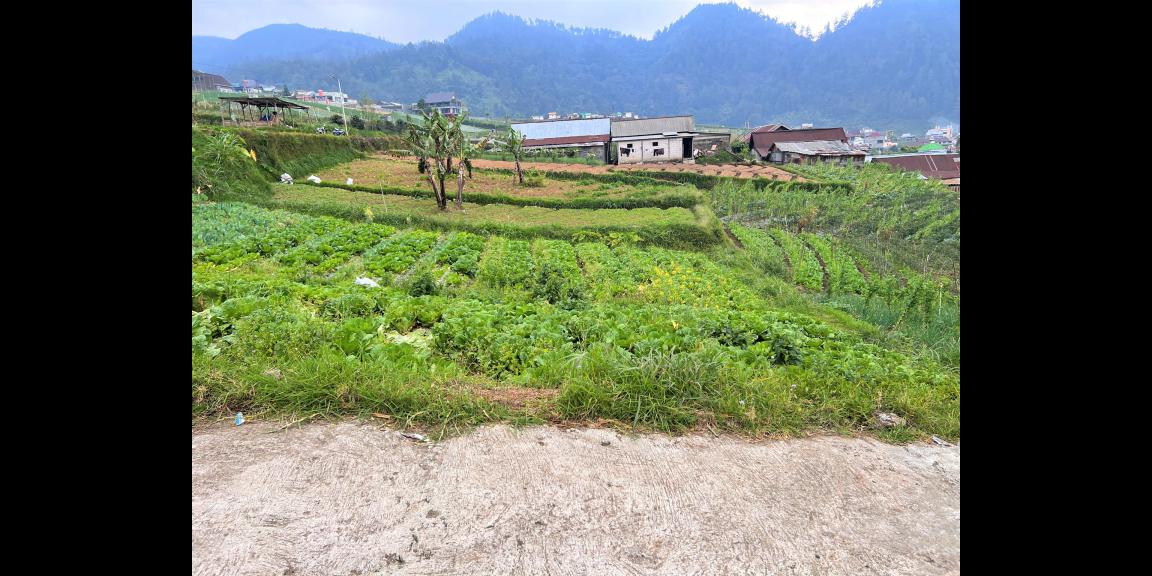 Tanah Kawasan Resto & Villa Tawangmangu Karanganyar Tanah Kawasan Resto & Villa Tawangmangu Karanganyar