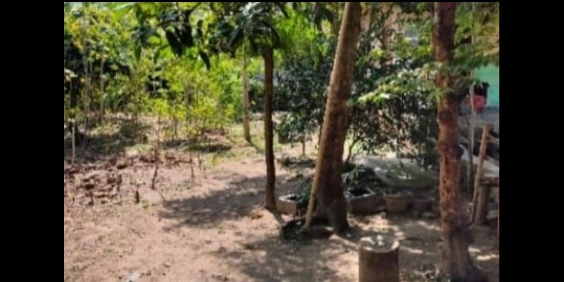 Tanah Datar Strategis Jaten Karanganyar Tanah Datar Strategis Jaten Karanganyar