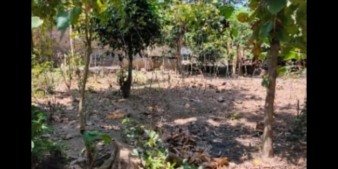 Tanah Datar Strategis Jaten Karanganyar Tanah Datar Strategis Jaten Karanganyar