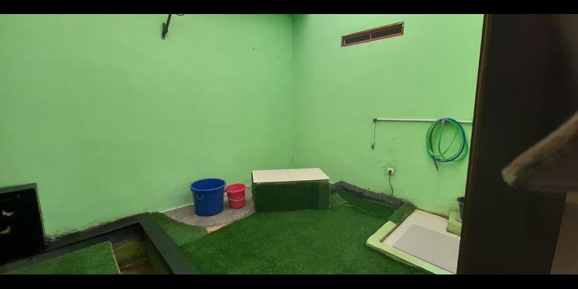 Rumah Asri di Lingkungan Sejuk Lokasi Tajur Halang Bogor. Rumah Asri di Lingkungan Sejuk Lokasi Tajur Halang Bogor.