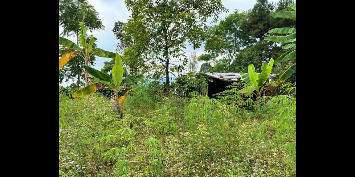 Tanah Cocok buat Villa Barat Pasar Tawangmangu Tanah Cocok buat Villa Barat Pasar Tawangmangu