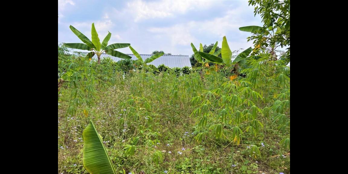 Tanah Cocok buat Villa Barat Pasar Tawangmangu Tanah Cocok buat Villa Barat Pasar Tawangmangu