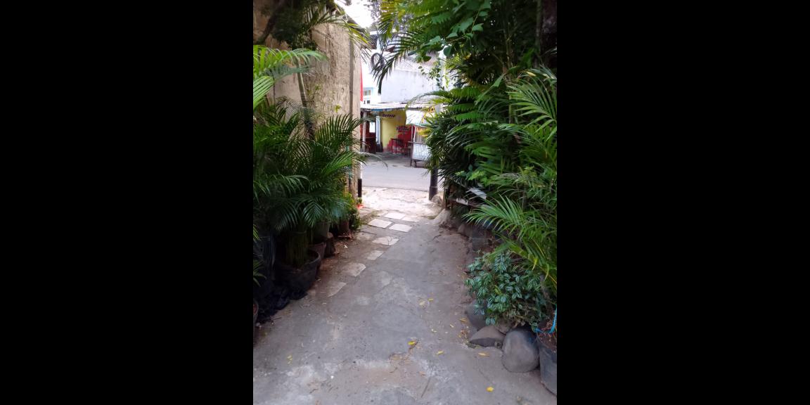 Rumah Dijual Menteng Dalam Tebet Jakarta Selatan Rumah Dijual Menteng Dalam Tebet Jakarta Selatan