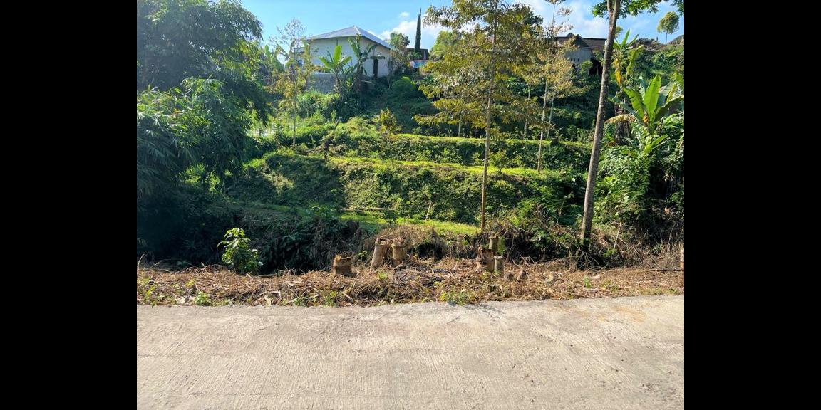 PROMO!! Tanah 300 jd 250Jt Kemuning Karanganyar PROMO!! Tanah 300 jd 250Jt Kemuning Karanganyar