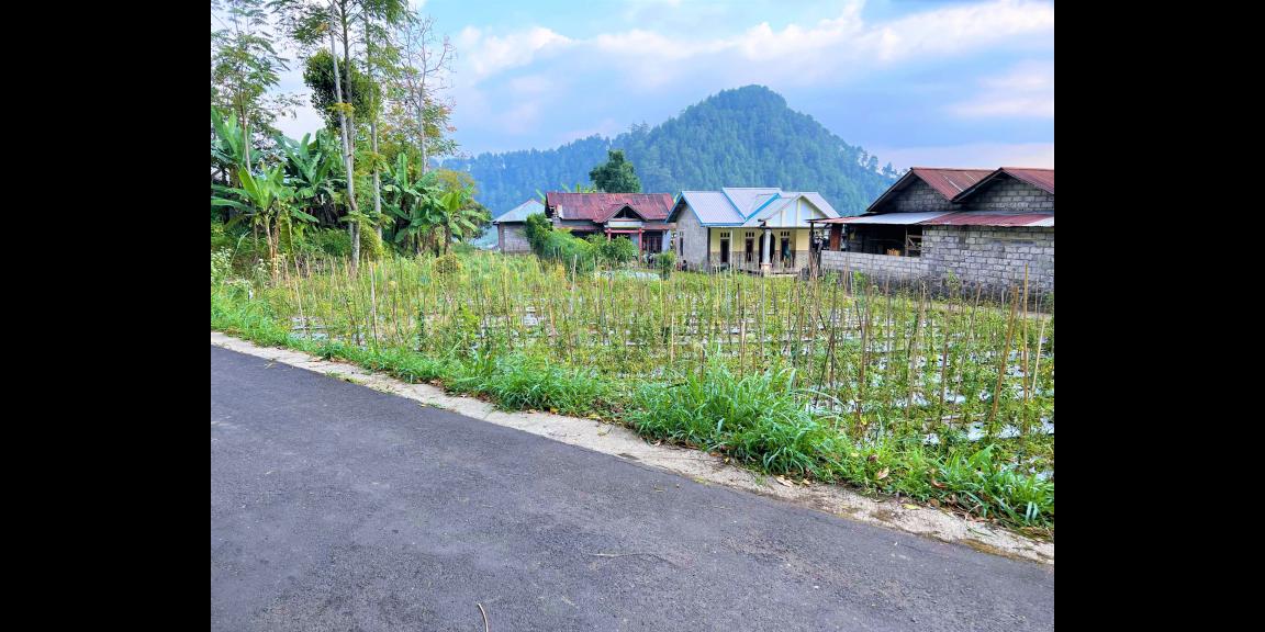 Tanah Datar Kemuning Ngargoyoso Karanganyar Tanah Datar Kemuning Ngargoyoso Karanganyar