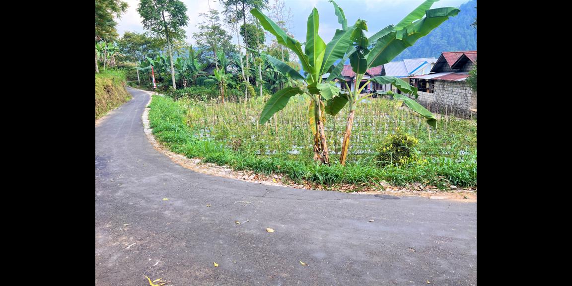 Tanah Datar Kemuning Ngargoyoso Karanganyar Tanah Datar Kemuning Ngargoyoso Karanganyar