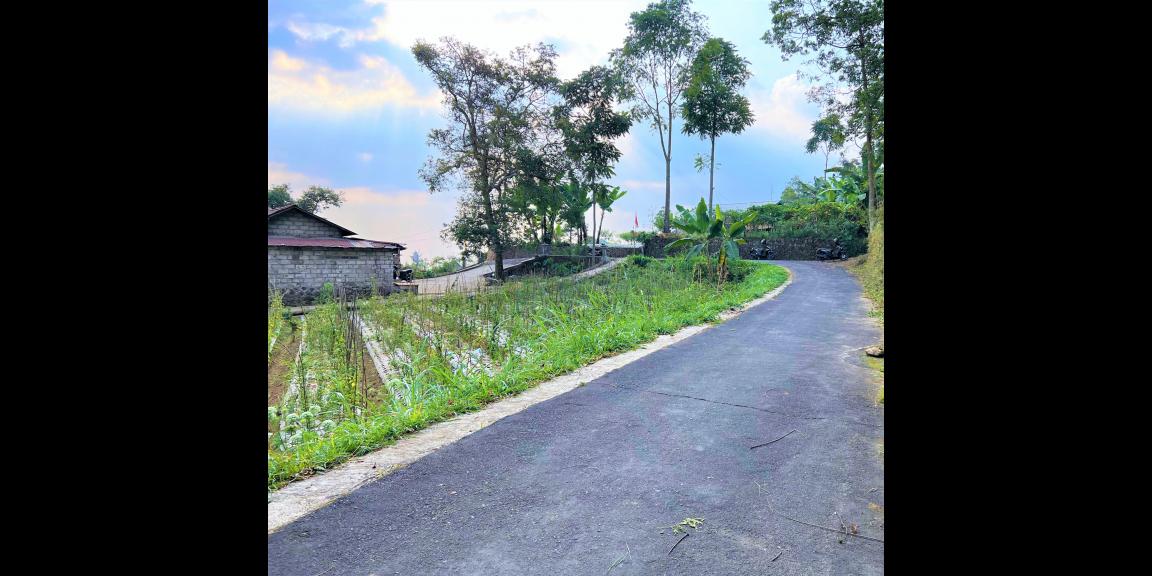 Tanah Datar Kemuning Ngargoyoso Karanganyar Tanah Datar Kemuning Ngargoyoso Karanganyar