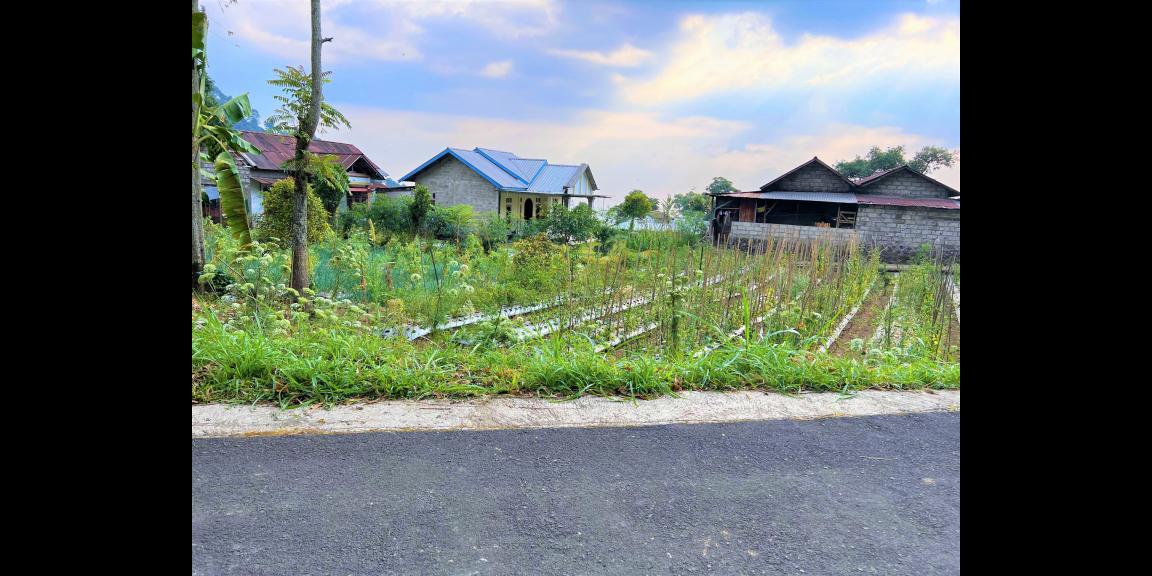 Tanah Datar Kemuning Ngargoyoso Karanganyar Tanah Datar Kemuning Ngargoyoso Karanganyar