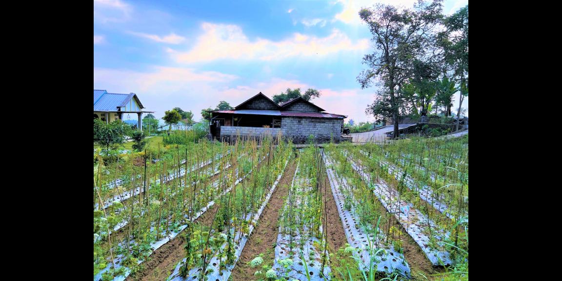 Tanah Datar Kemuning Ngargoyoso Karanganyar Tanah Datar Kemuning Ngargoyoso Karanganyar