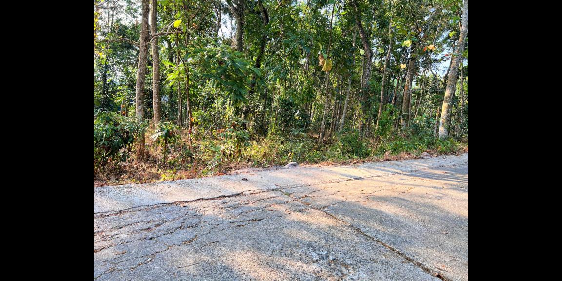 Tanah Dekat Sungai 1155m² Mojogedang Karanganyar Tanah Dekat Sungai 1155m² Mojogedang Karanganyar