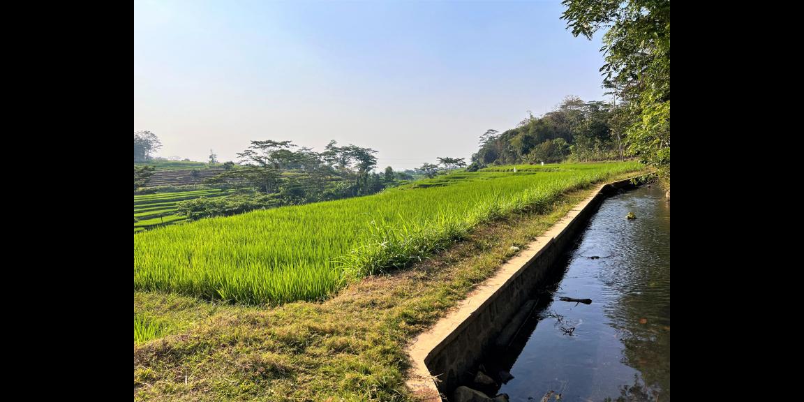 Tanah Dekat Sungai 1155m² Mojogedang Karanganyar Tanah Dekat Sungai 1155m² Mojogedang Karanganyar